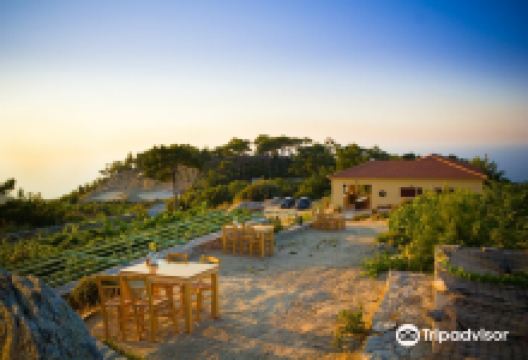 Afianes Wines景点图片