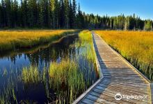 The Beaver Boardwalk景点图片