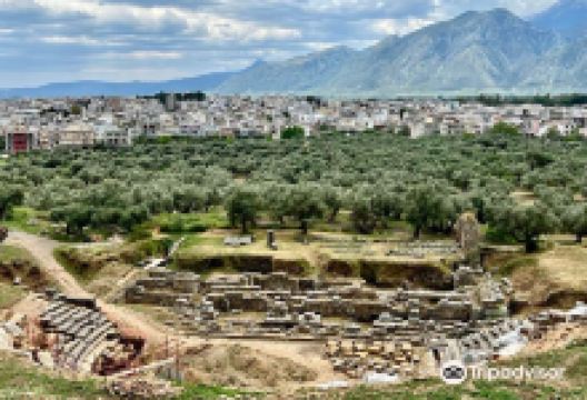 Acropolis and Ancient Theater景点图片