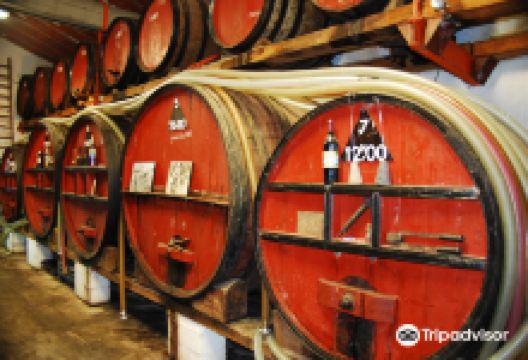 Domaine Vial Magnères景点图片