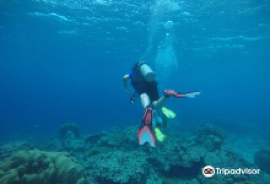 Jads Dive Center购物图片