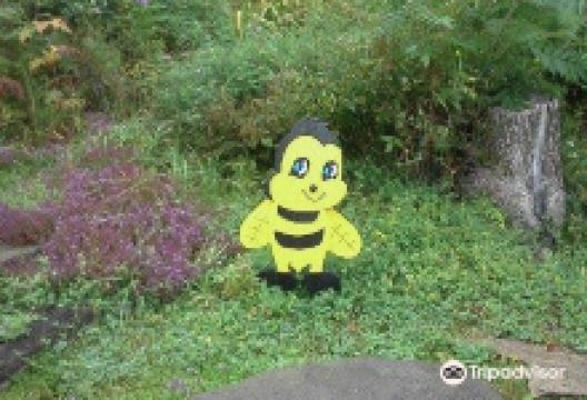 Board's Honey Farm景点图片