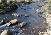 Jovsianska Hrabina景点图片