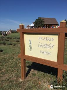 Prairie Lavendar Farm-萨莱纳