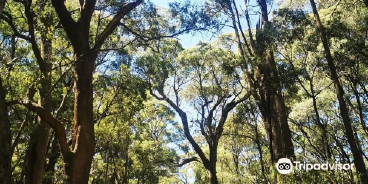 Mount Samaria State Park