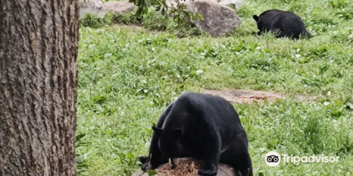 Vince Shute Wildlife Sanctuary