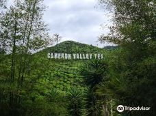Cameron Highlands Trail No. 3-丹那拉打