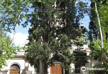 Parroquia de la Inmaculada Concepcion景点图片