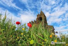 Ruinas do Castelo de Montemor-o-novo景点图片