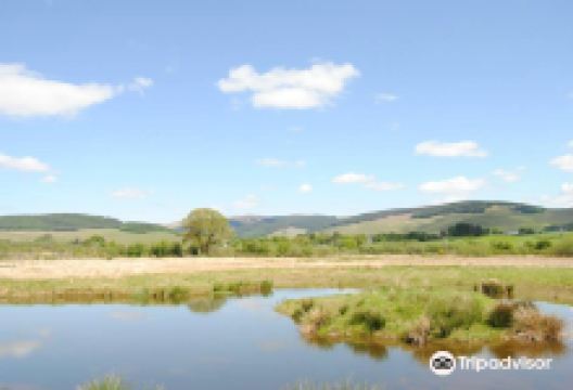 Moffat Community Nature Reserve景点图片