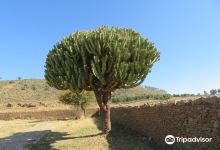 Queen of Sheba Palace景点图片