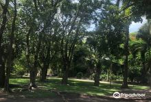 Jardin Botanico Unacar景点图片