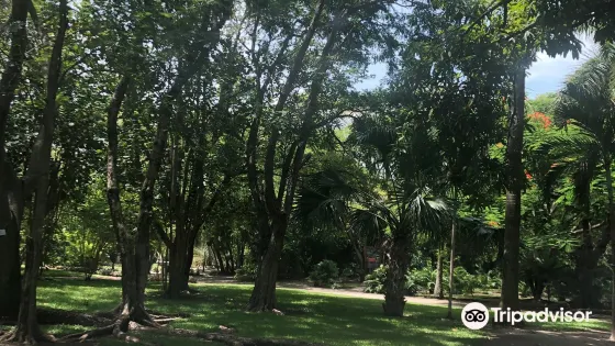 Jardin Botanico Unacar