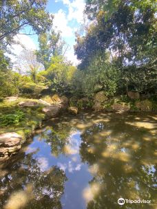 Hamilton Botanic Gardens-汉密尔顿