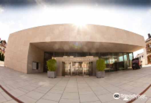 Ferry Porsche Congress Center景点图片