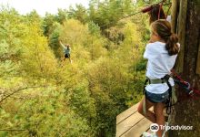 Go Ape Buxton (Treetop Challenge, Zip Lines, High Ropes)景点图片