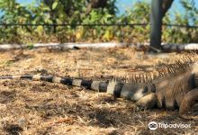 Smithsonian Tropical Research Institute景点图片