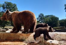 Animal Park of Gramat景点图片