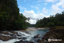 Endau-Rompin National Park景点图片