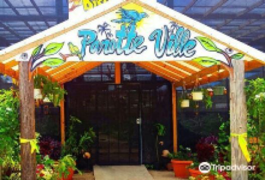 Parotte Ville Bird Sanctuary景点图片