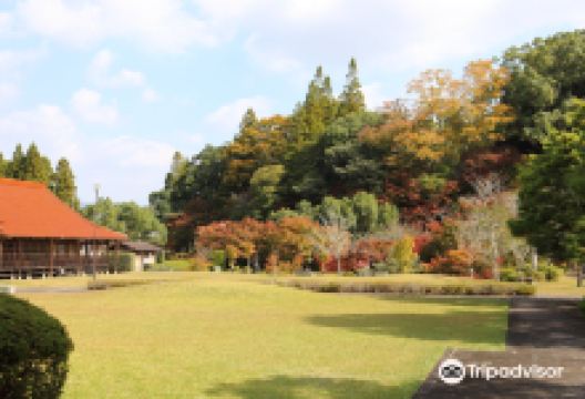 西溪公园景点图片