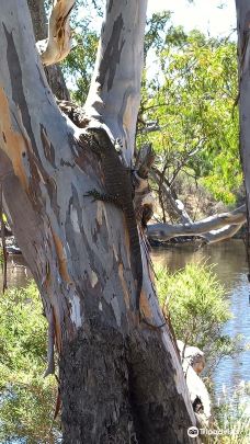 马蹄湾-科科尼诺县