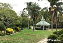 Wahroonga Park景点图片