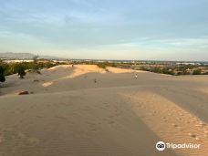 Nam Cuong Sand Dunes-Kinh Dinh