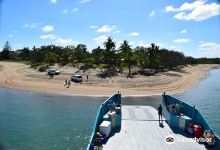 Curtis Island National Park and Regional Park景点图片