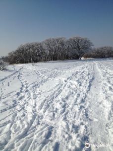 Dimple Dell Regional Park-山迪