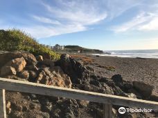 Shamel Park-坎布里亚