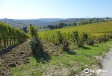 Podere Santa Lucia景点图片