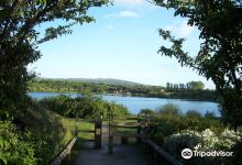 Astbury Mere Country Park景点图片
