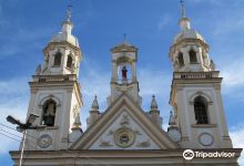 Catedral Santo Antônio景点图片
