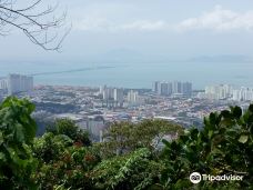 Bukit Jambul Orchid & Hibiscus Garden and Reptile House-巴彦勒巴