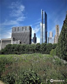 Lurie Garden-芝加哥