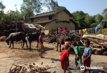 Chitwan Tharu Village景点图片