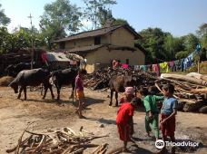 Chitwan Tharu Village-Madi