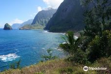 卡劳帕帕国家历史公园-卡拉瓦奥县