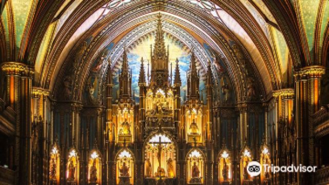 L'expérience AURA | The AURA Experience