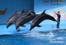 Minamichita Beach Land景点图片