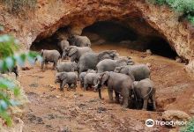Elephant Caves景点图片