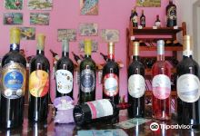 Vinoteka Dionis景点图片