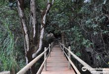Parque Estadual da Lapa Grande景点图片