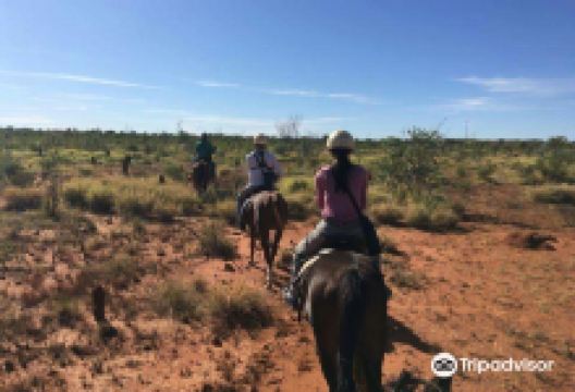 Kelly's Ranch景点图片