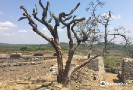 Dananombe Ruins景点图片