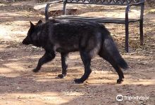 Medicine Wheel Lodge Spiritual Day Lodge & Wolf Sanctuary景点图片