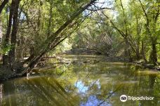 Toogood Pond Park-万锦