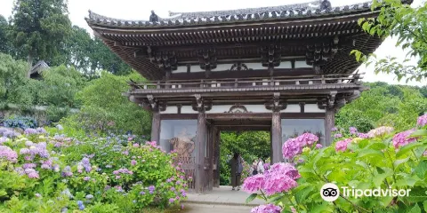 觀音寺