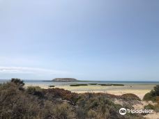 Reserva Natural Isla de los Pajaros-别德马